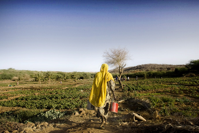Watering the field, Kirari, Niger  - © Giulio Napolitano
